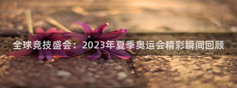 3377体育官方正版app娱乐平台:全球竞技盛会:2023年