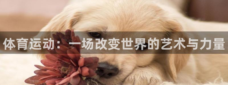 3377体育官方正版app五金厂:体育运动:一场改变世界的艺